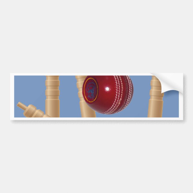 Pegatina Para Coche Balas Y Trozos De Cricket, (Frente)