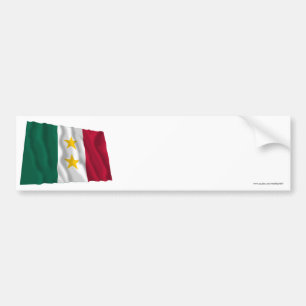 Pegatina Para Coche Bandera de Coahuila y Tejas