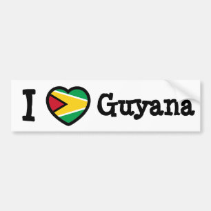 Pegatina Para Coche Bandera de Guyana