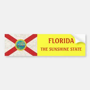 PEGATINA PARA COCHE BANDERA DE LA FLORIDA ENVEJECIDA