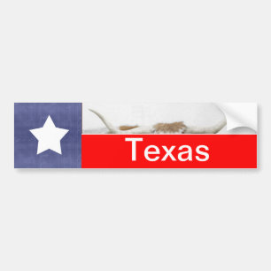 Pegatina Para Coche Bandera de Texas y cuernos blancos
