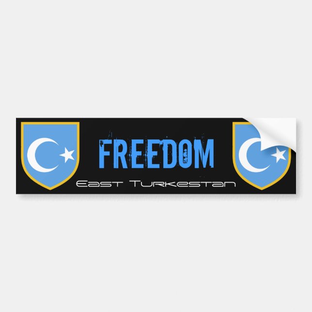Pegatina Para Coche Bandera del este de Turkestan (Frente)