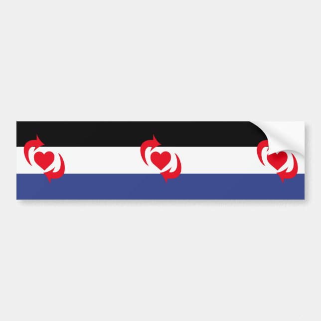 Pegatina Para Coche Bandera del Orgullo Switch (Frente)