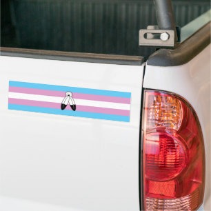 Pegatina Para Coche Bandera del Orgullo Trans Dos Espíritus
