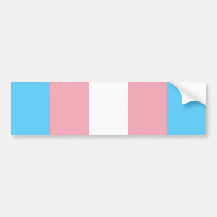 Pegatina Para Coche Bandera del Orgullo Transgénero