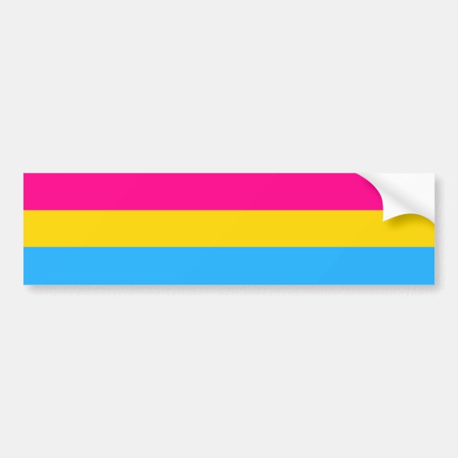PEGATINA PARA COCHE "BANDERA PANSEXUAL DEL ORGULLO " (Frente)