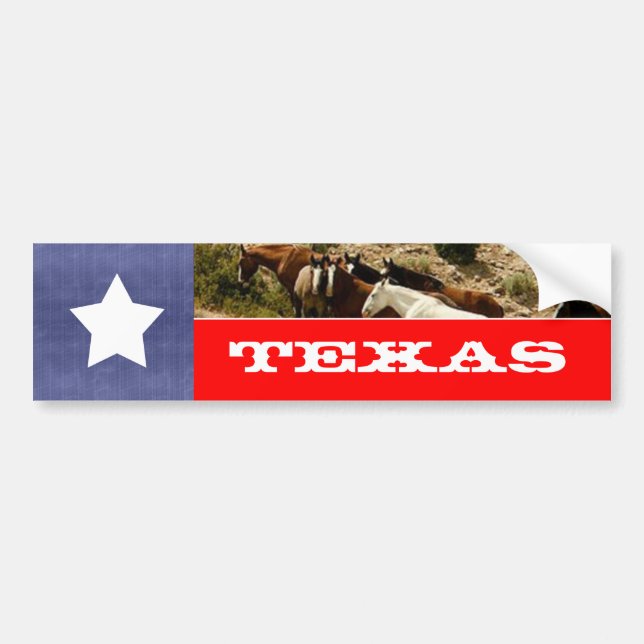 Pegatina Para Coche Bandera y caballos de Texas (Frente)