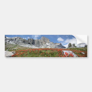 Pegatina Para Coche Banner Peak Wildflowers - Ansel Adams Wilderness