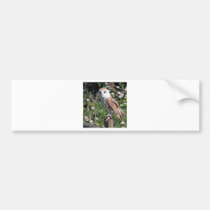 Pegatina Para Coche Barn Owl