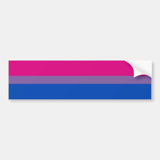 PEGATINA PARA COCHE BARRA BISEXUAL DE LA BANDERA DEL ORGULLO (Frente)
