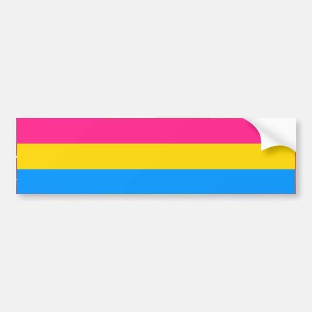 PEGATINA PARA COCHE BARRA PANSEXUAL DE LA BANDERA DEL ORGULLO (Frente)