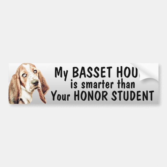 Pegatina Para Coche Basset Hound es más elegante que el estudiante del (Frente)