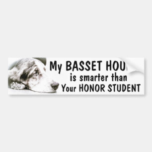 Pegatina Para Coche Basset Hound - más elegante que estudiante del