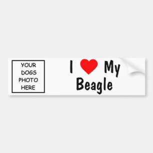 Pegatina Para Coche Beagle