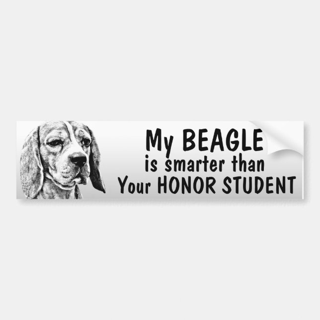 Pegatina Para Coche Beagle - más elegante que estudiante del honor - (Frente)