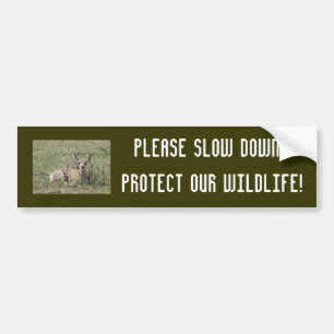 Pegatina Para Coche Becerro de berrendo