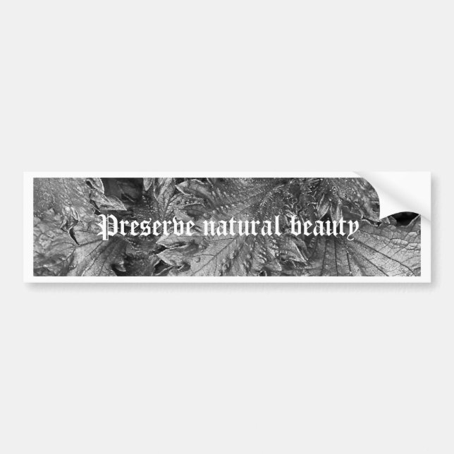 Pegatina Para Coche Belleza de plata (Frente)