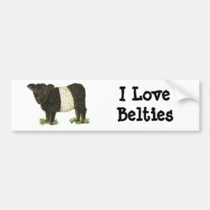 Pegatina Para Coche "Beltie" Galloway ceñido
