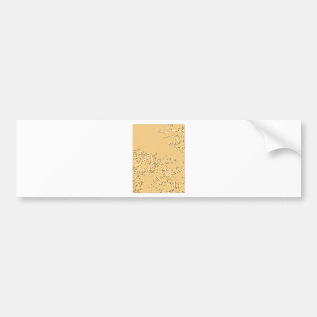 Pegatina Para Coche Benditas sean. (Frente)