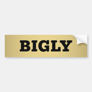 PEGATINA PARA COCHE BIGER BUMPER STICKER