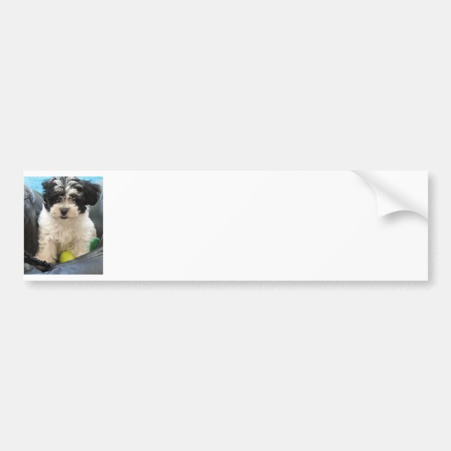 Pegatina Para Coche Blanco del negro del perrito del rescate de (Frente)