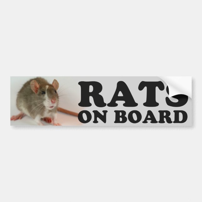 Pegatina Para Coche (Blazed) Ratas él board (Frente)