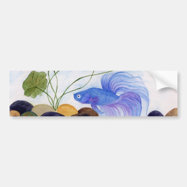 Pegatina Para Coche Blue Betta Fish (Frente)