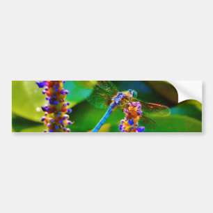 Pegatina Para Coche Blue Dragonfly and flowers