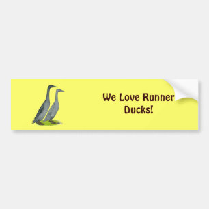 Pegatina Para Coche Blue Runner Ducks