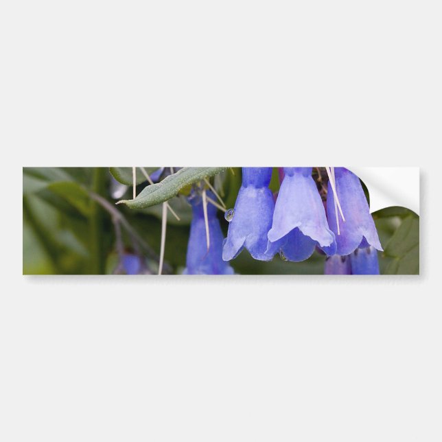 Pegatina Para Coche Bluebells (Frente)