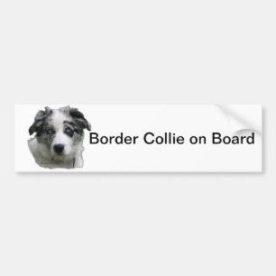 Pegatina Para Coche Border collie