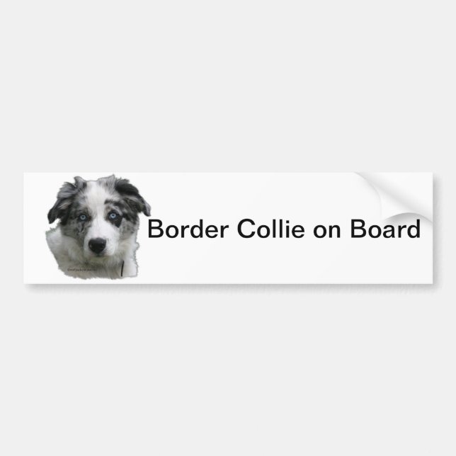 Pegatina Para Coche Border collie (Frente)