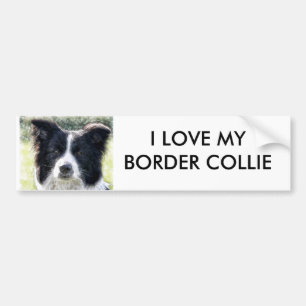 Pegatina Para Coche Border collie