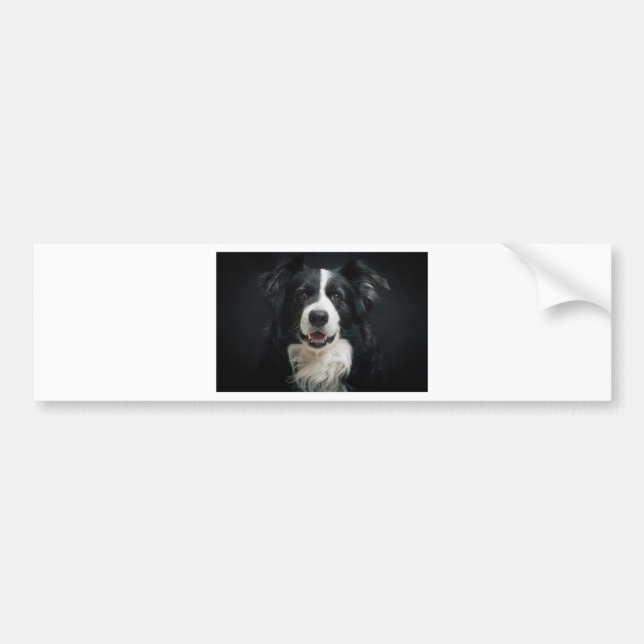 Pegatina Para Coche border collie (Frente)