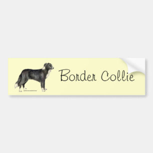 Pegatina Para Coche Border collie