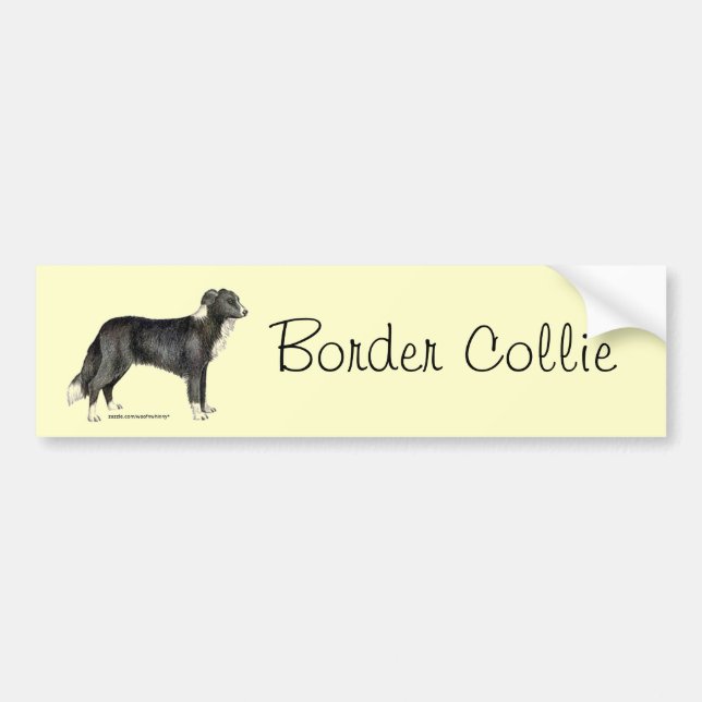 Pegatina Para Coche Border collie (Frente)