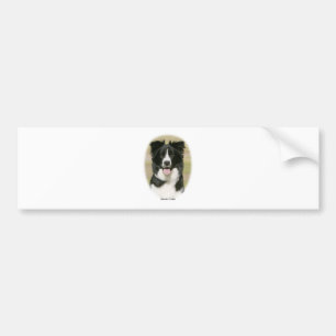 Pegatina Para Coche Border collie 9Y411D-009