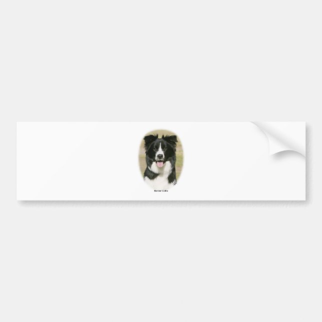 Pegatina Para Coche Border collie 9Y411D-009 (Frente)