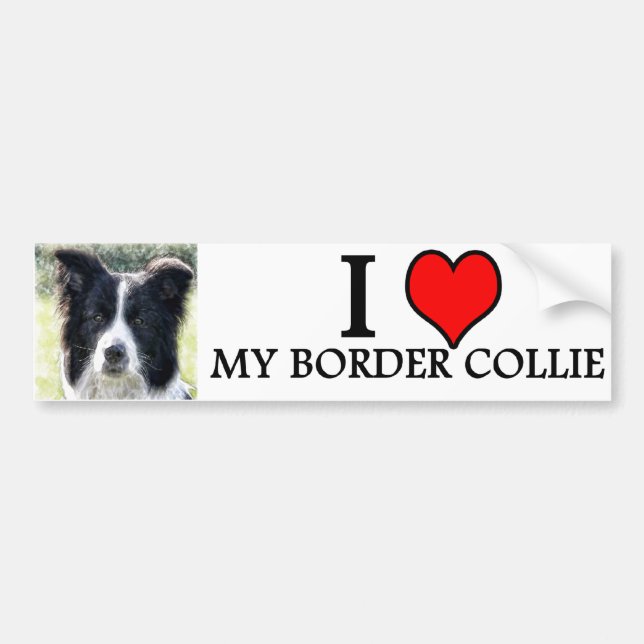 Pegatina Para Coche border collie del bumpersticker (Frente)