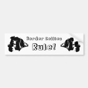 Pegatina Para Coche Border Collies Mandan Perro Lindo