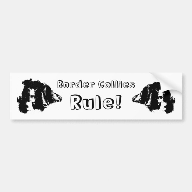 Pegatina Para Coche Border Collies Rule Cute Dog (Frente)