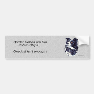 Pegatina Para Coche bordercollies_bumpersticker1