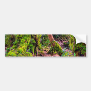 Pegatina Para Coche Bosque Musgoso