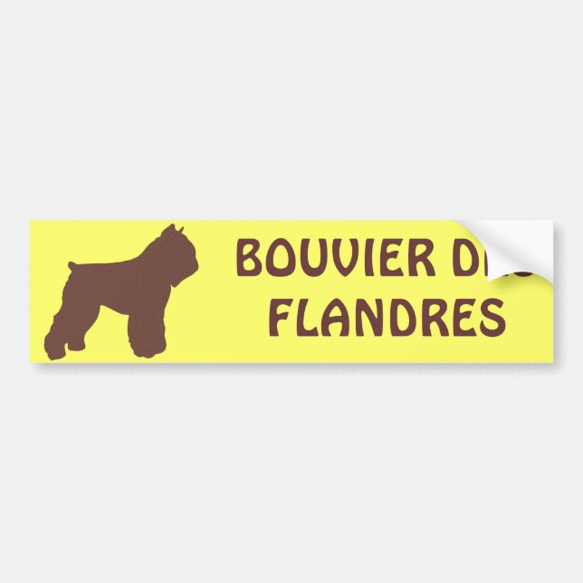 Pegatina Para Coche Bouvier des Flandres (Frente)