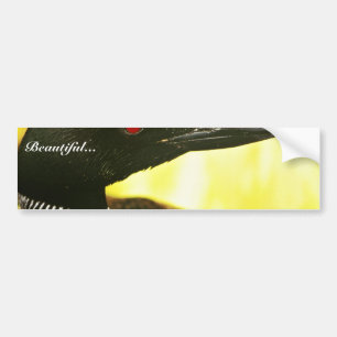 Pegatina Para Coche Bribón común