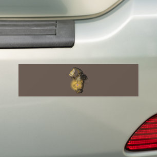 Pegatina Para Coche Brillo