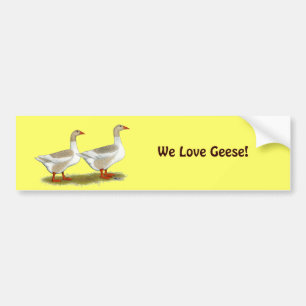 Pegatina Para Coche Buff Pomeranian Saddleback Geese