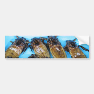 Pegatina Para Coche Bug de agua gigante frito (Maeng Daa) ... Comida a