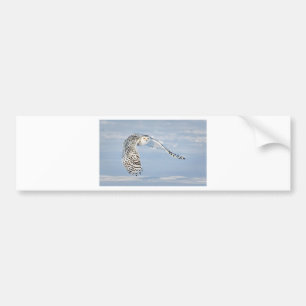Pegatina Para Coche Búho Animal Ave Invierno Nieve Helado Hielo Frío