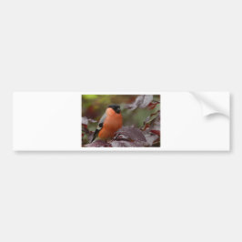 Pegatina Para Coche Bull Finch